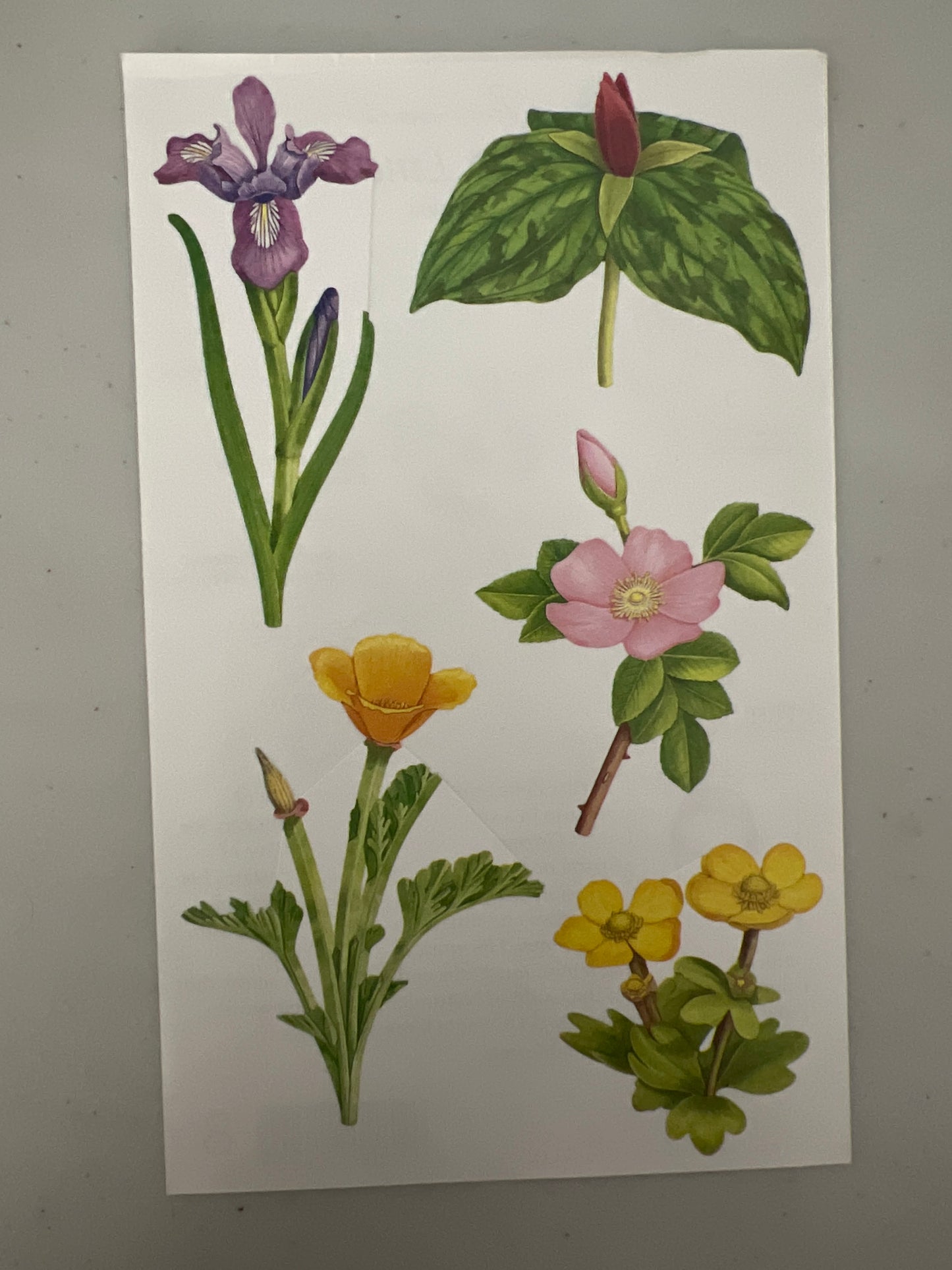 Mrs. Grossman’s Large Stickers Wildflowers New