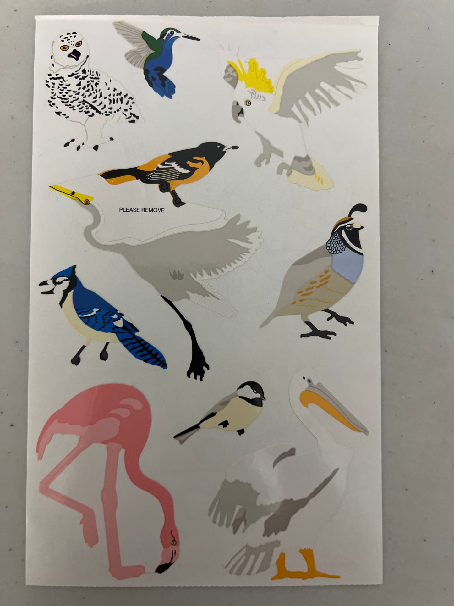 Mrs. Grossman’s Large Stickers Birds New