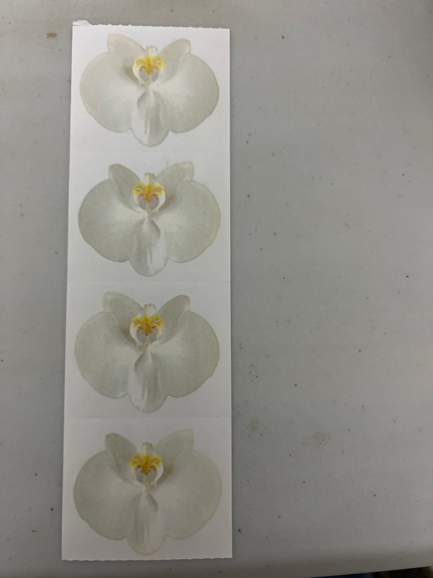 Mrs. Grossman’s Stickers White Orchid