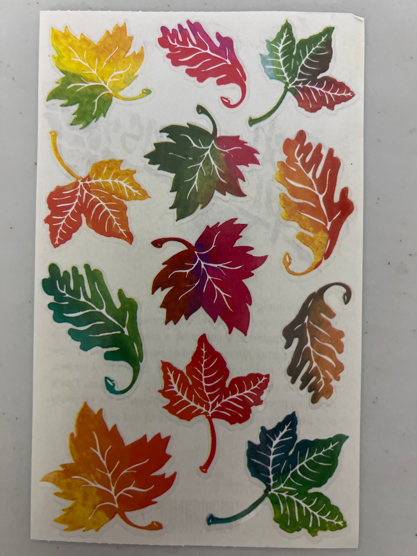 Mrs. Grossman’s Large Stickers Posh Fall Leaves New