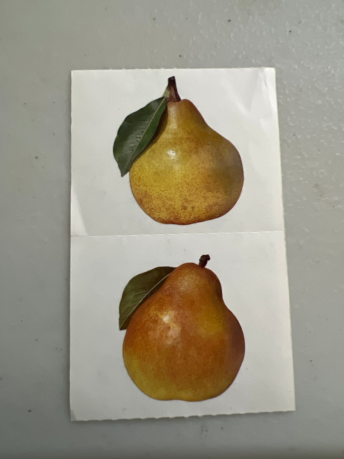 Mrs. Grossman’s Stickers Fruit Pears 1/2 Sheet