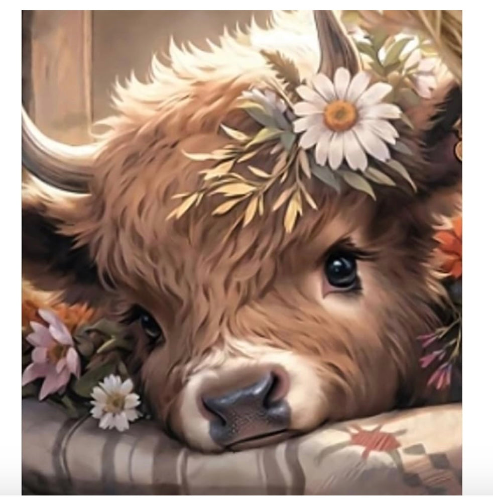 Diamond Painting Kits Highland Cow with Daisies New