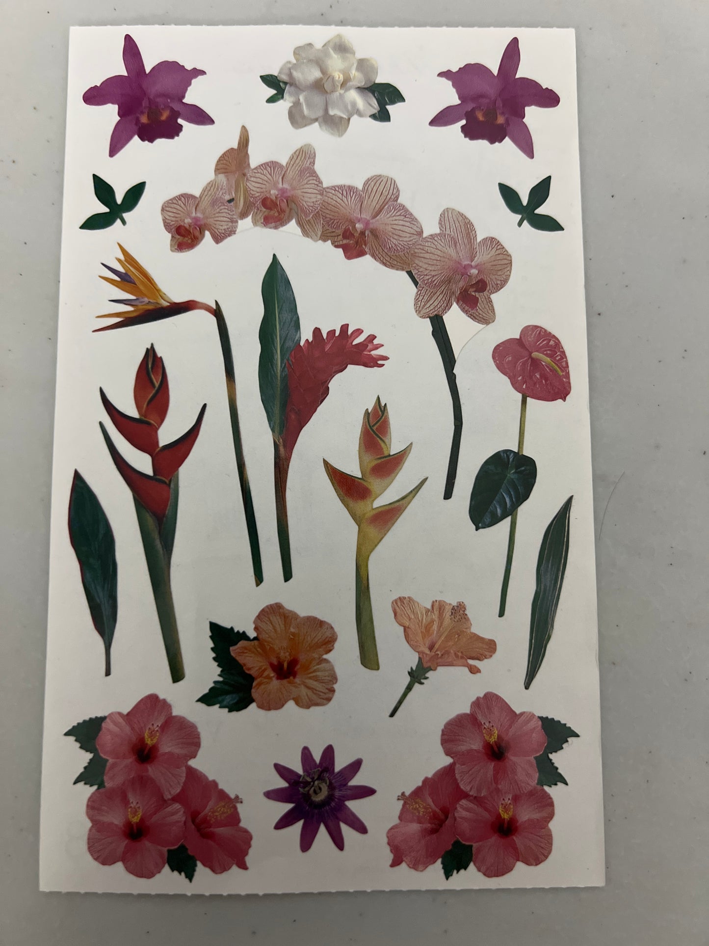 Mrs. Grossman’s Large Stickers Tropical Flowers New