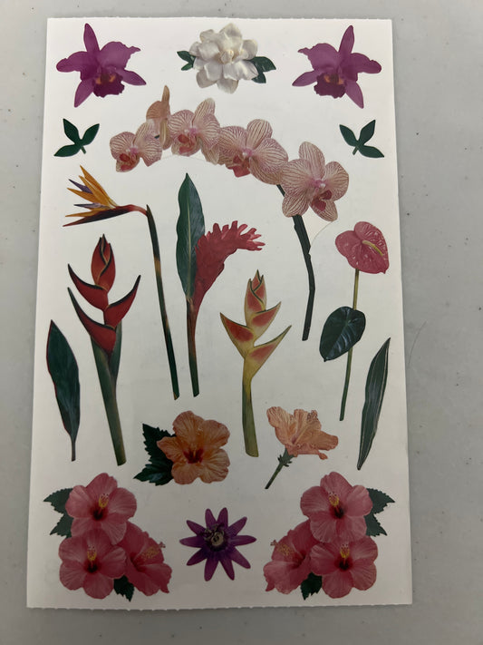 Mrs. Grossman’s Large Stickers Tropical Flowers New