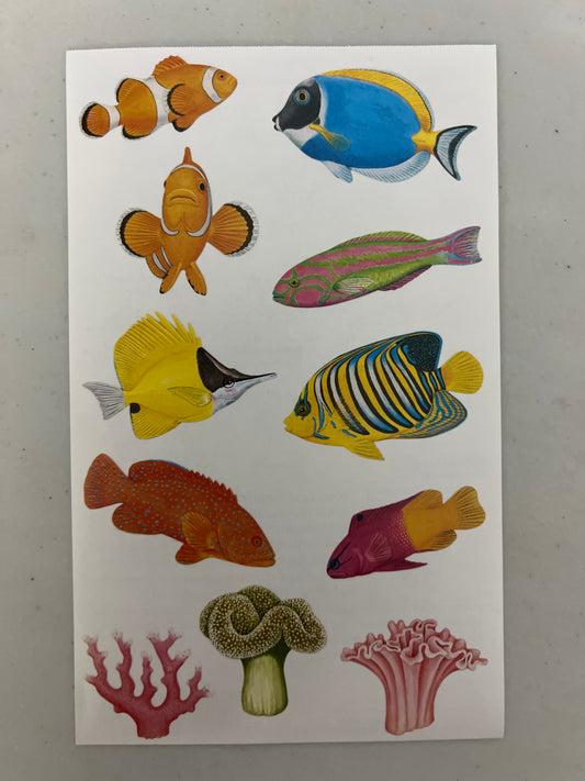 Mrs. Grossman’s Large Stickers Coral Reef Fish New
