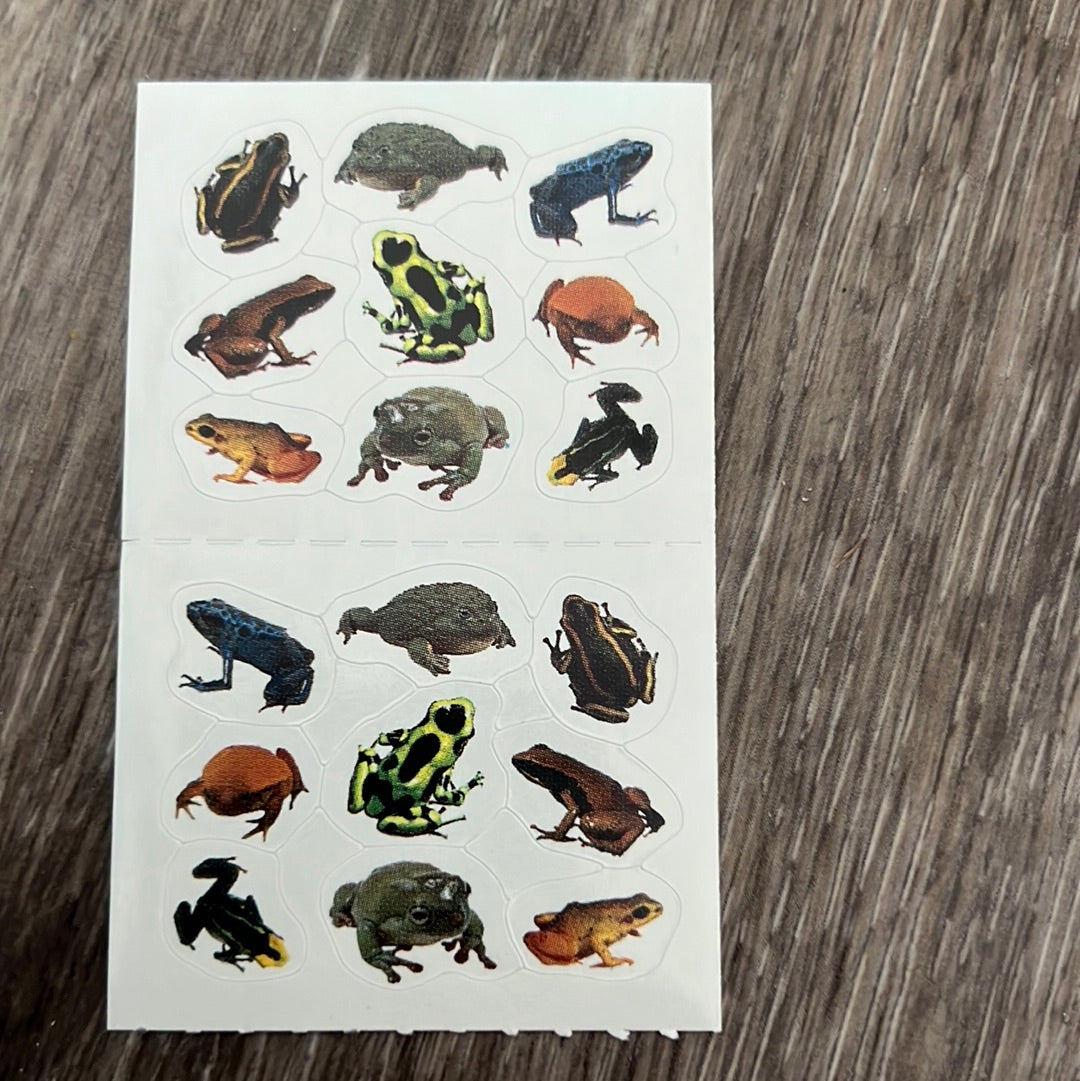 Mrs. Grossman’s Stickers Amphibians Photos of Frogs 1/2 Sheet