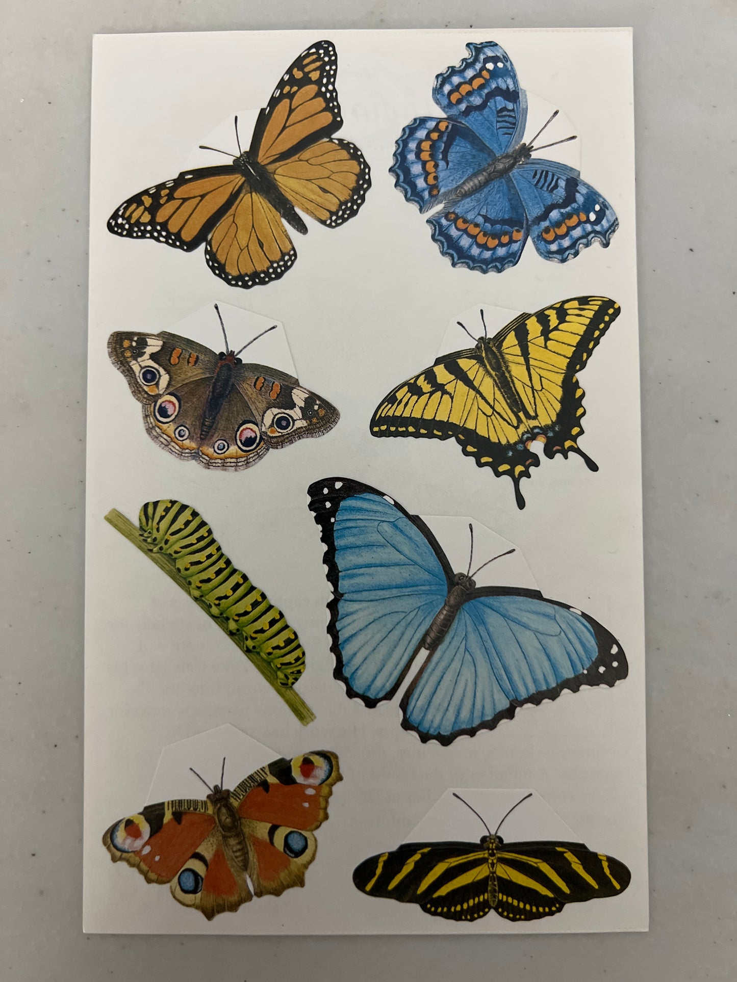 Mrs. Grossman’s Large Stickers Butterflies New