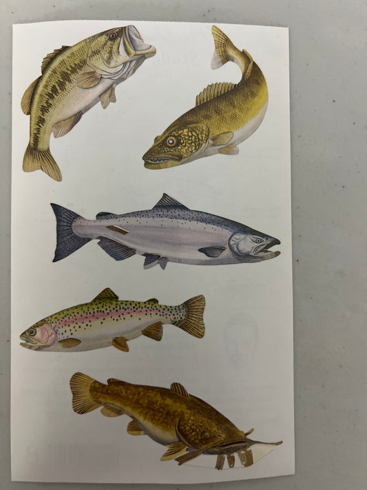 Mrs. Grossman’s Large Stickers Game Fish New