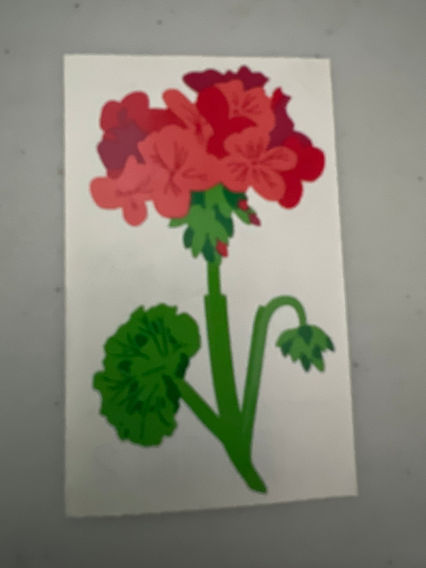 Mrs. Grossman’s Stickers Flower Geranium 1/2 Sheet New