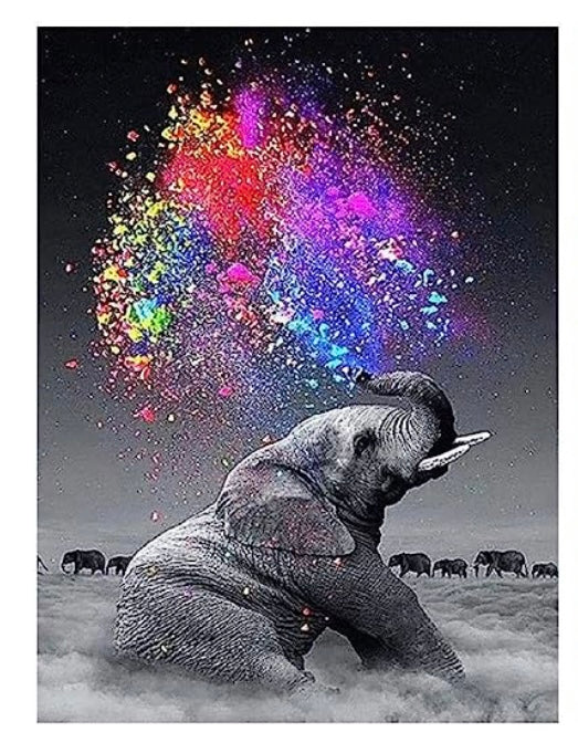 Diamond Painting Kits Elephant W672