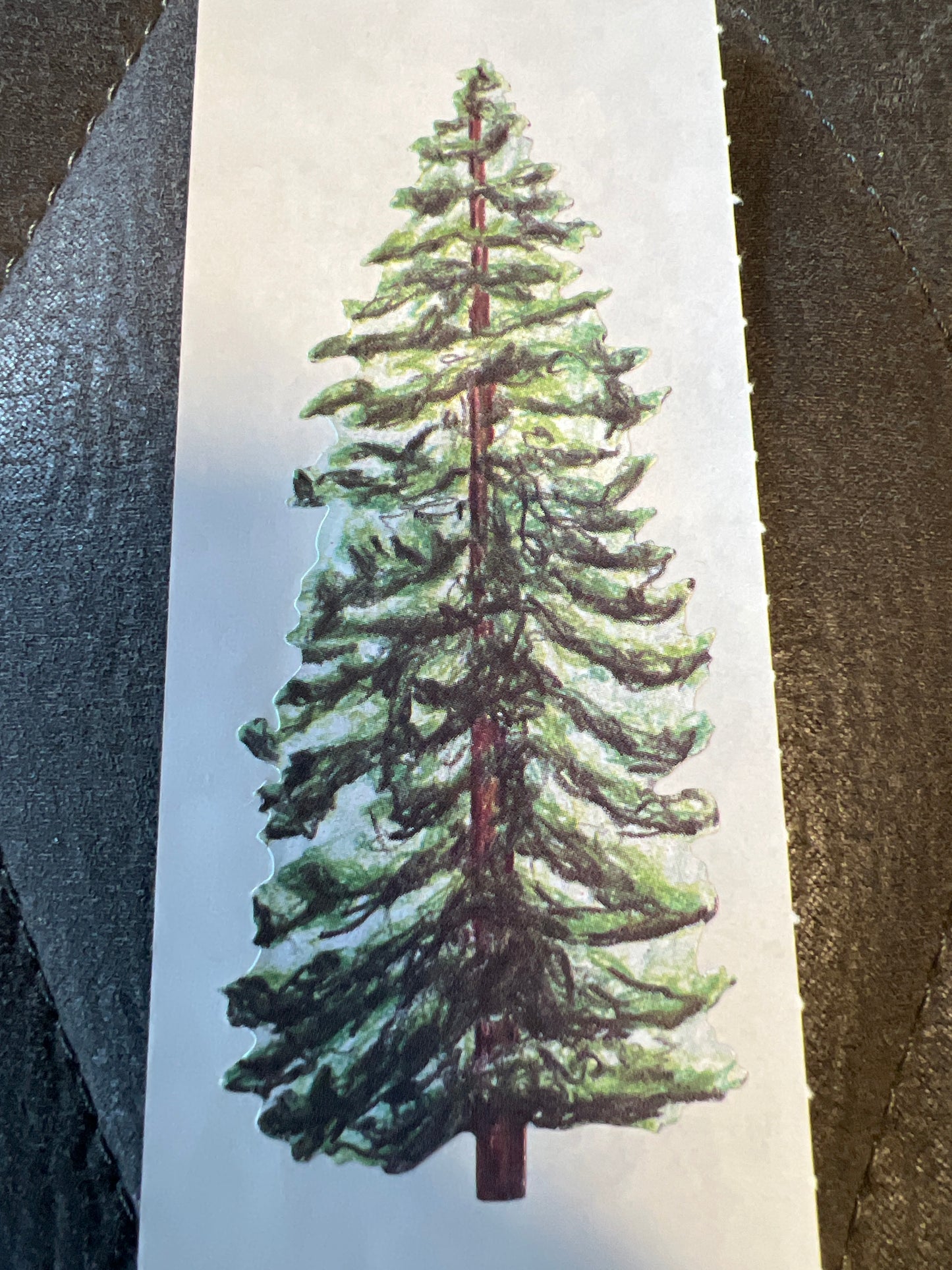 Creative Memories Stickers Wilderness Evergreen new