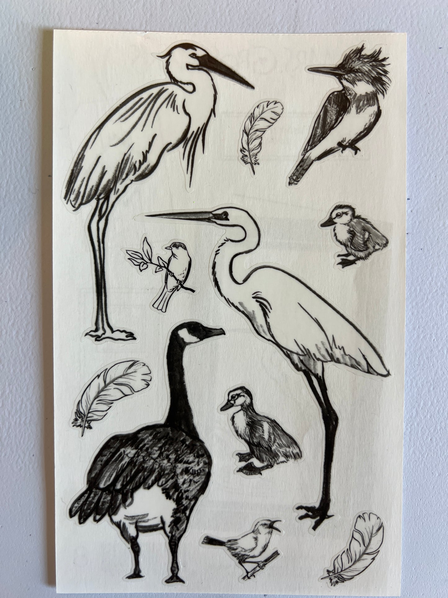 Mrs. Grossman’s Large Stickers Birds Brush Waterfowl New