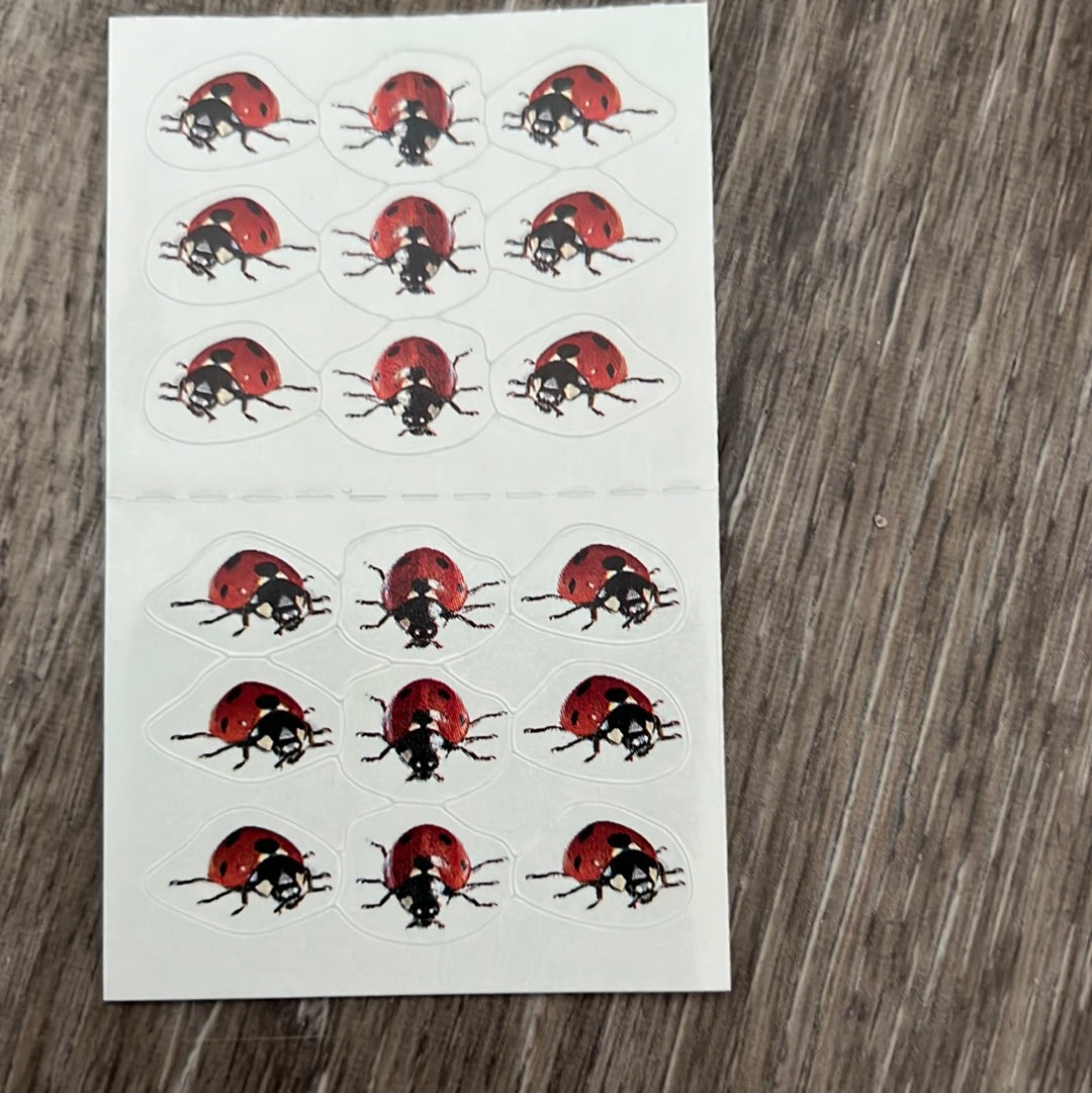 Mrs. Grossman’s Stickers Insects Photos of Ladybugs 1/2 Sheet