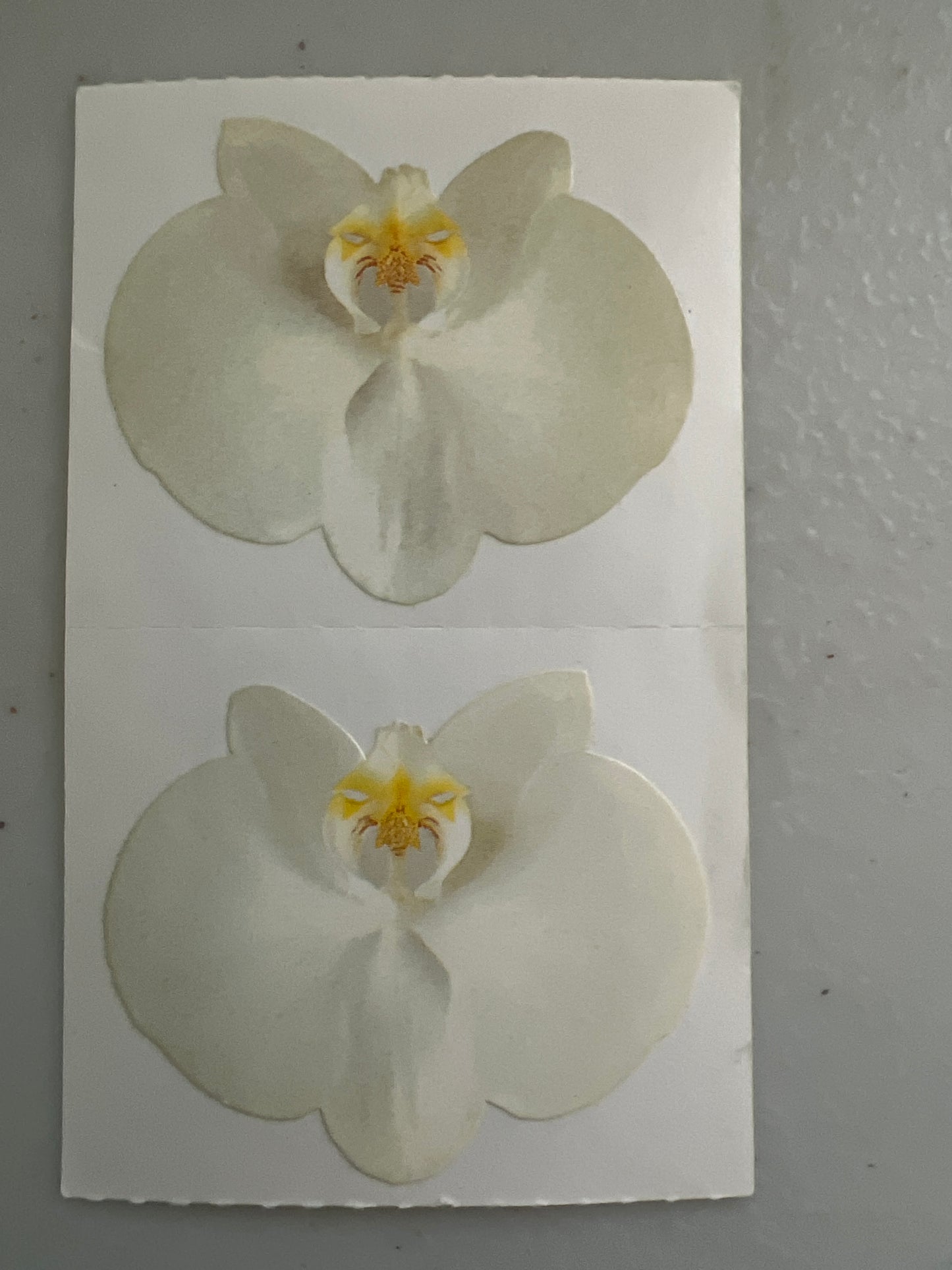 Mrs. Grossman’s Stickers White Orchid 1/2 Sheet