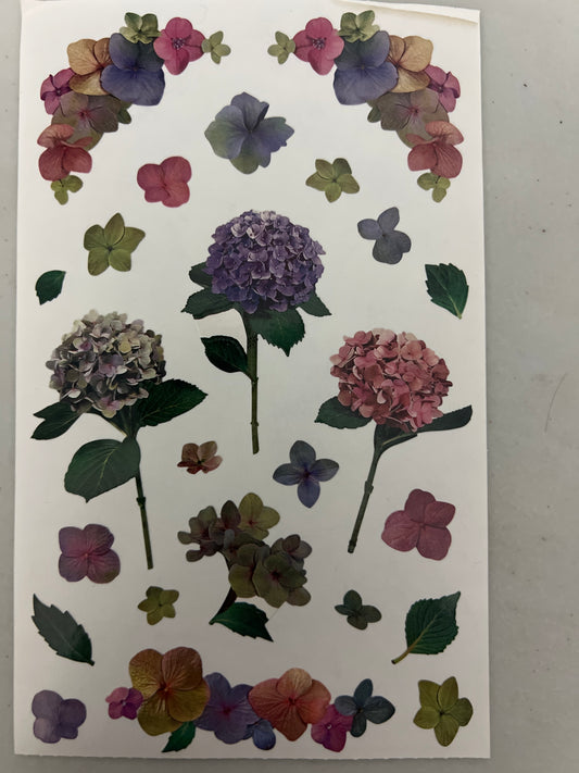 Mrs. Grossman’s Large Stickers Hydrangea Stems New