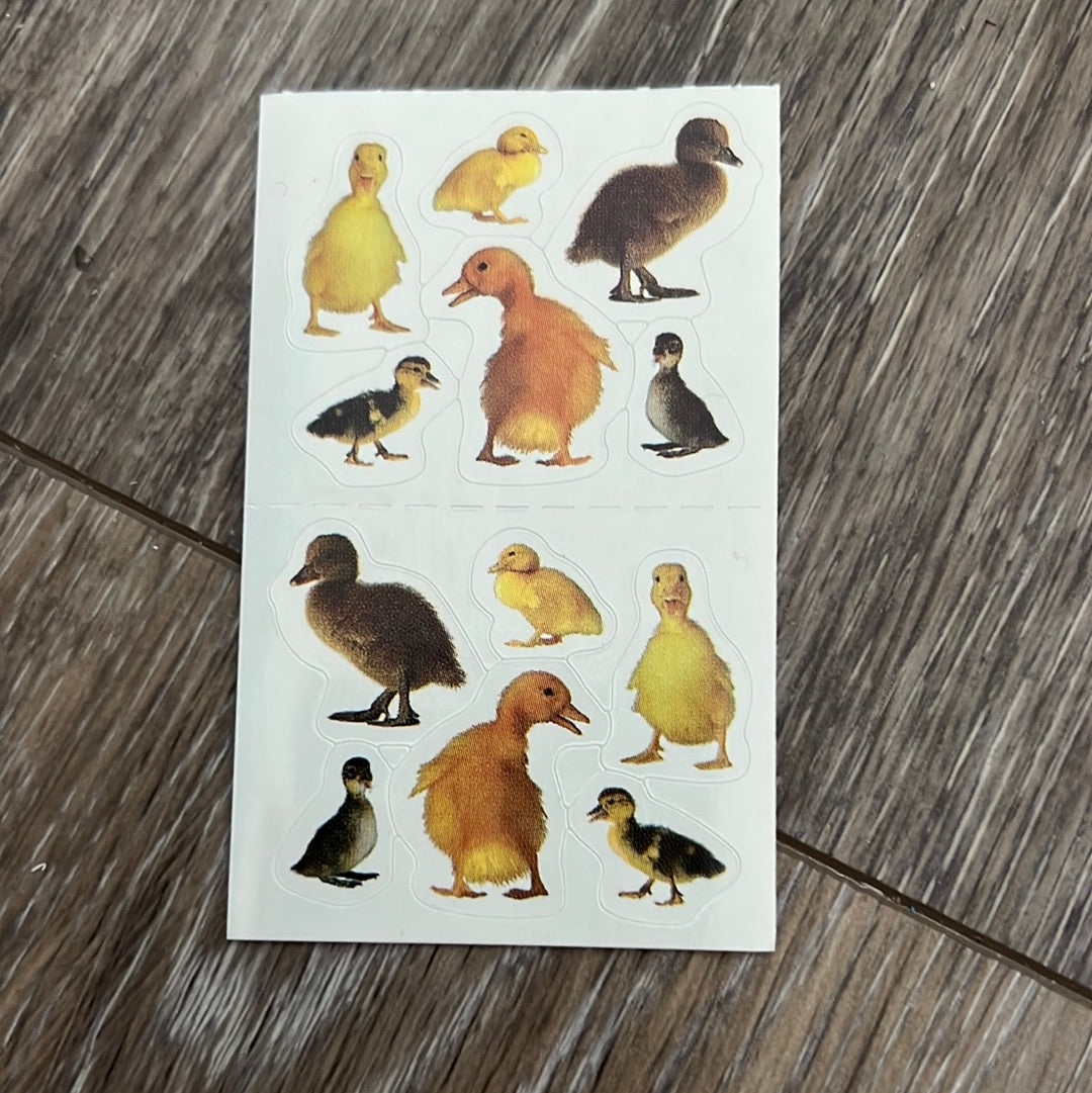 Mrs. Grossman’s Stickers Birds Photos of Chicks & Ducklings 1/2 Sheet