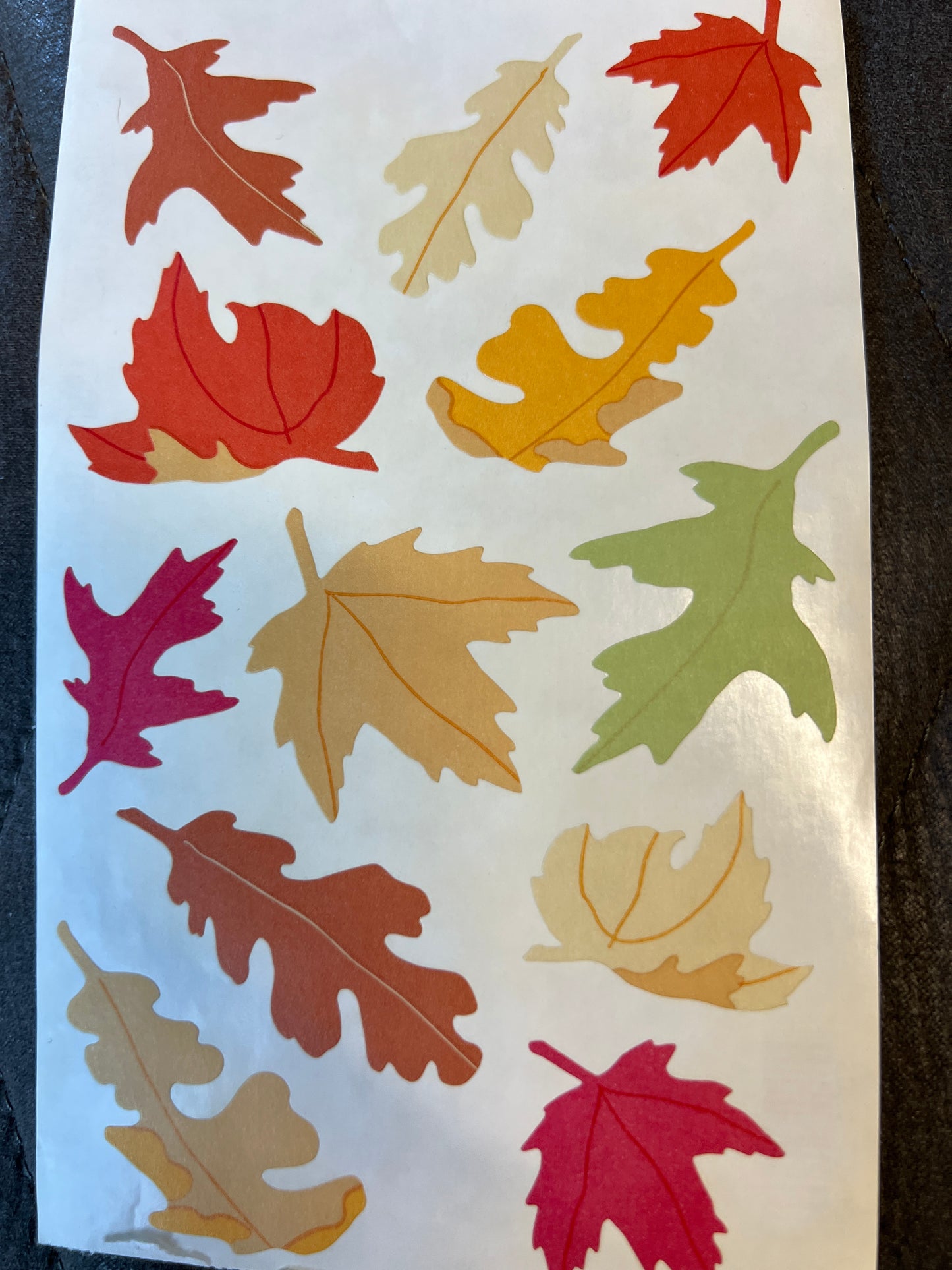 Mrs. Grossman’s Large Stickers Vellum Fall Leaves New