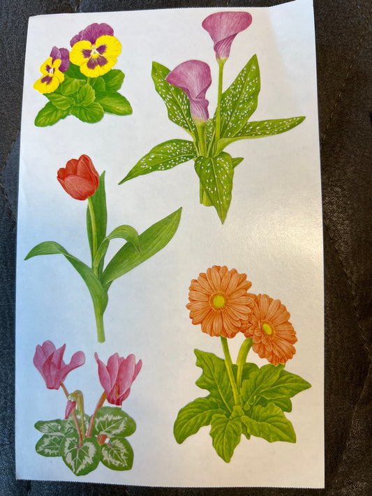 Mrs. Grossman’s Large Stickers Blooming Plants New