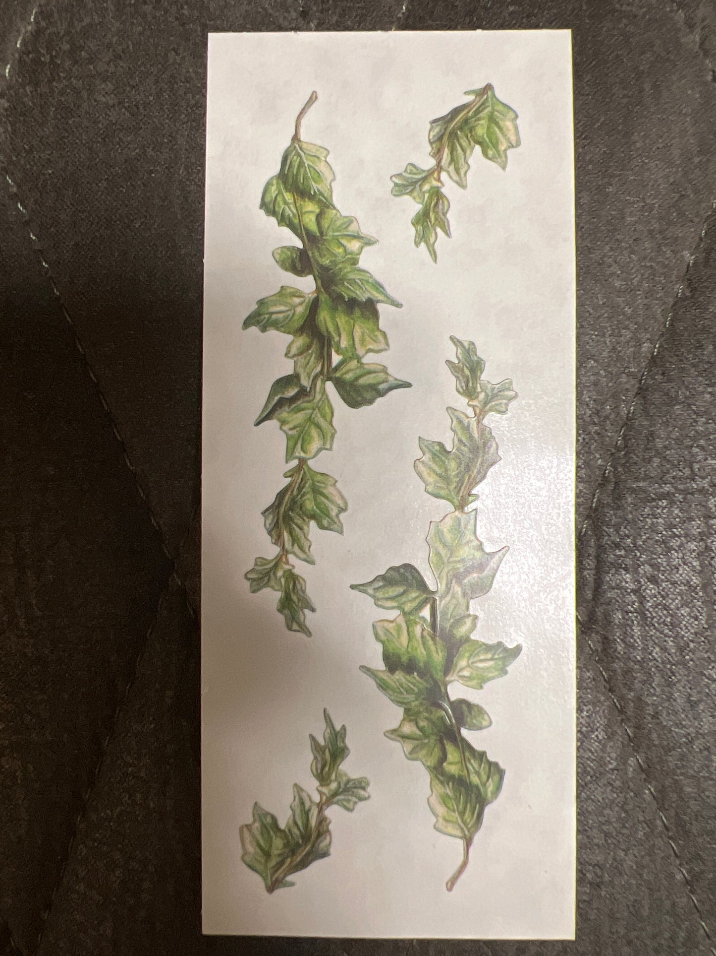 Creative Memories Stickers Heritage Ivy new