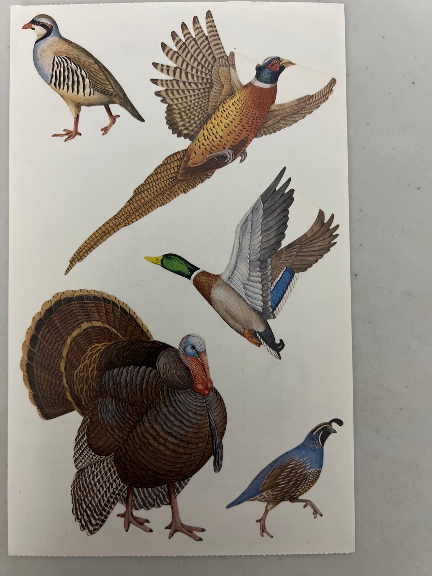 Mrs. Grossman’s Large Stickers Game Birds New
