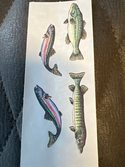 Creative Memories Stickers Wilderness Fish new