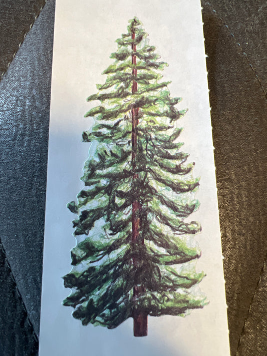 Creative Memories Stickers Wilderness Evergreen new
