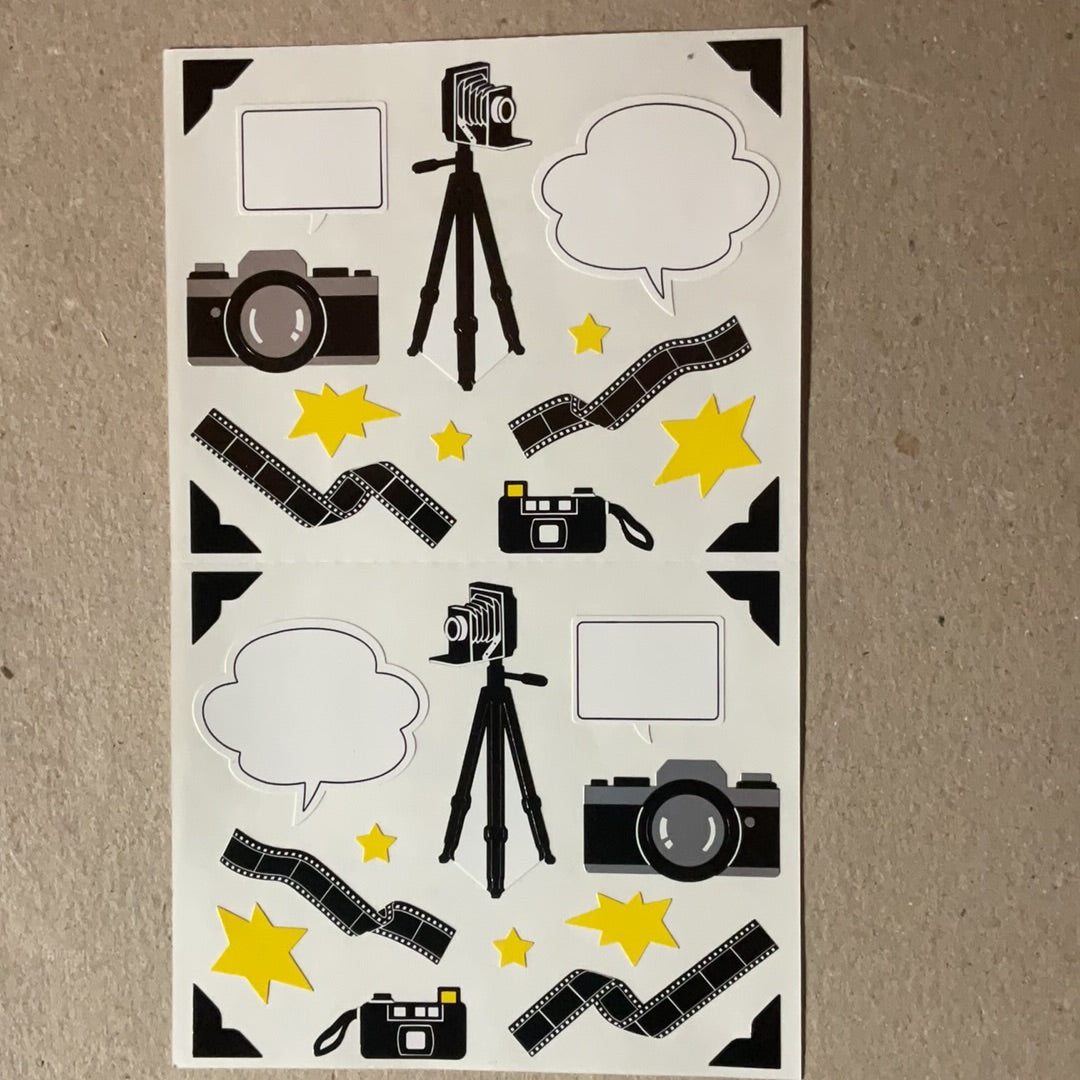 Mrs. Grossman’s Large Stickers Cameras