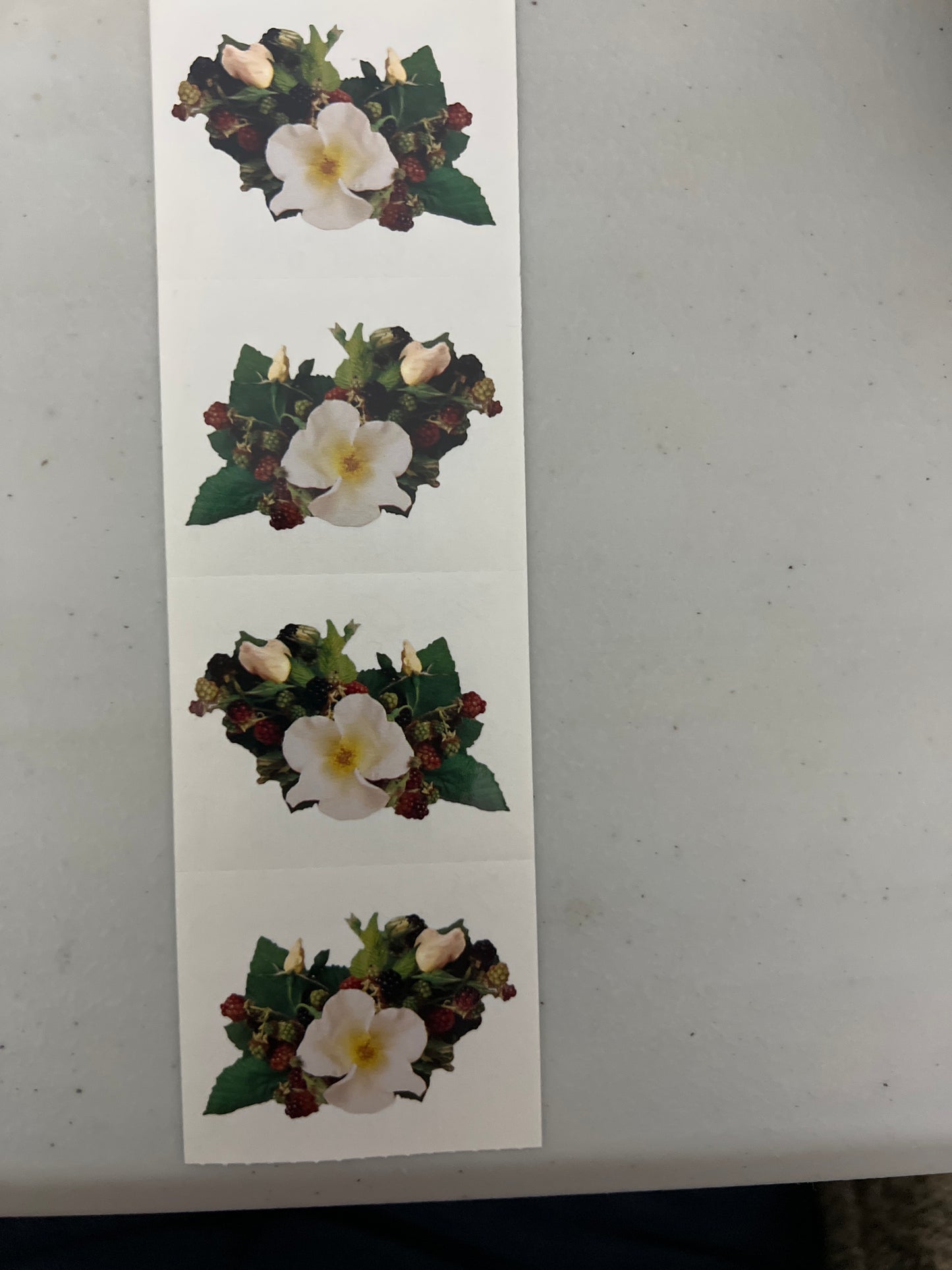 Mrs. Grossman’s Stickers Winter Berries Flower New